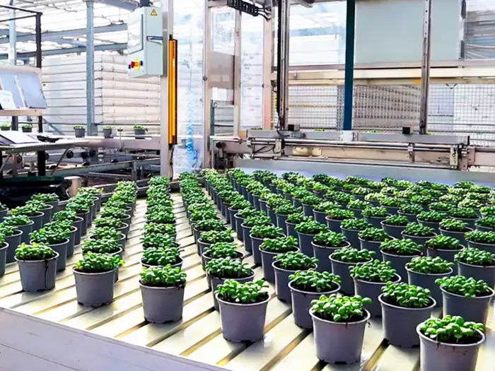 Identify risks and plan how you can overcome them when bringing new technologies into your farming or growing business.