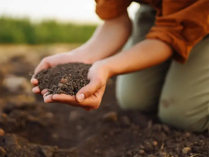 Soil health is crucial to the future productivity of our farmland.
