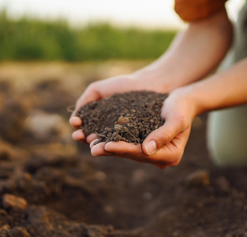 Managing the nutrients in your soil is essential to maximising profitability of your crops.