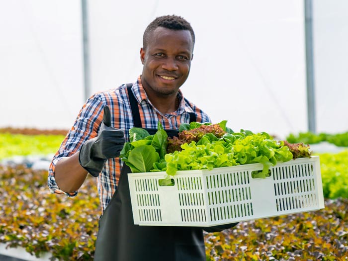 Identify risks and work to improve the health and wellbeing of staff on farm.