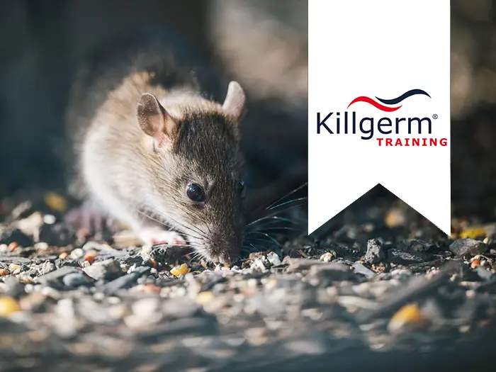 Stay on top of legislation changes around the control of rodents with this online training course, developed with Killgerm Training.