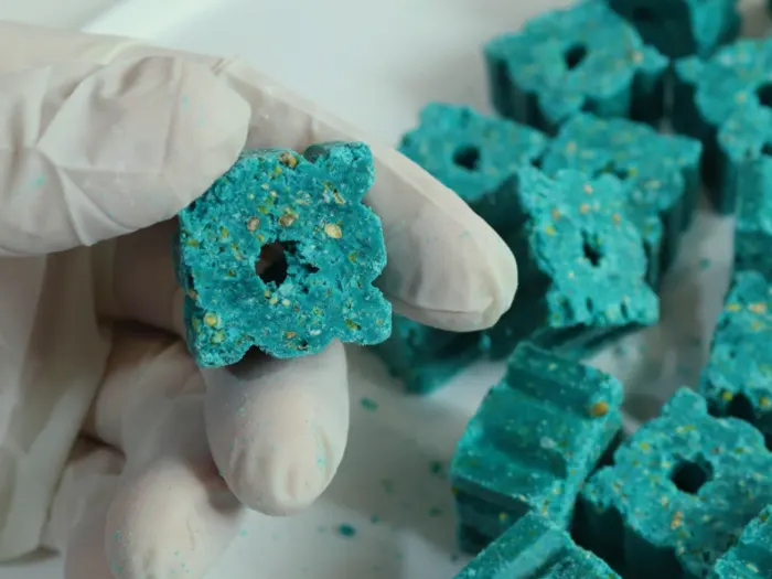 Get a better understanding of how you can use rodenticides to target the pests affecting your business.