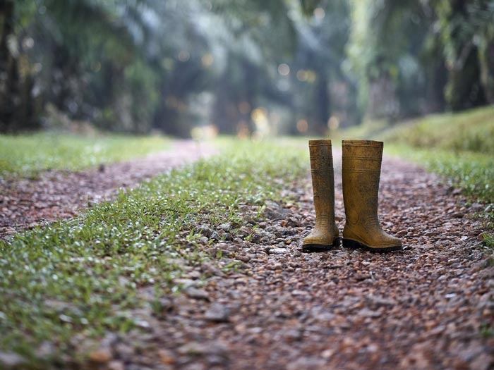 Health and safety is of vital importance in farming and growing.