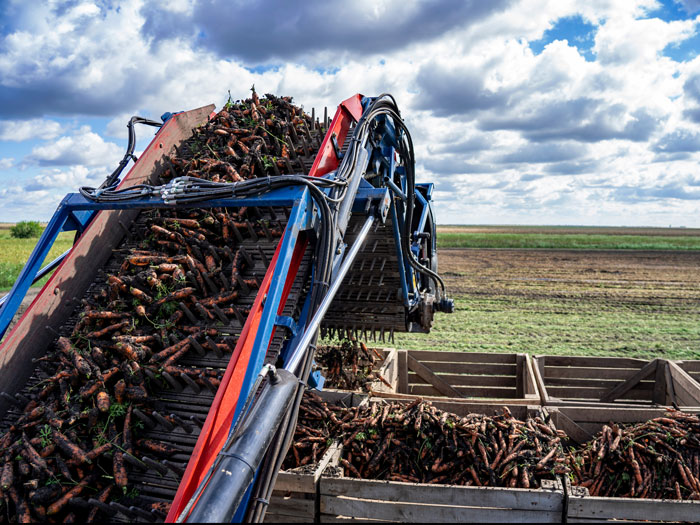 Get a better understanding of the four risk types associated with food production with our Essential Skills modules.