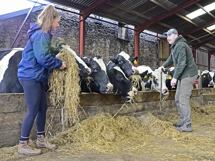 Bring new staff up to speed on your dairy farm quickly with our induction path.