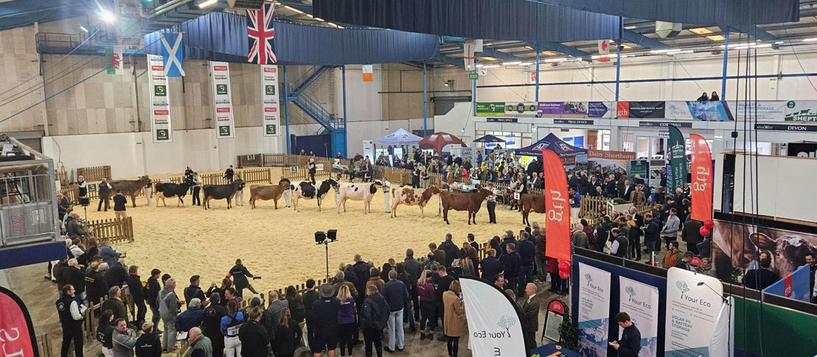 There was a lot of success for younger exhibitors in the showrings at the Dairy Show 2024.