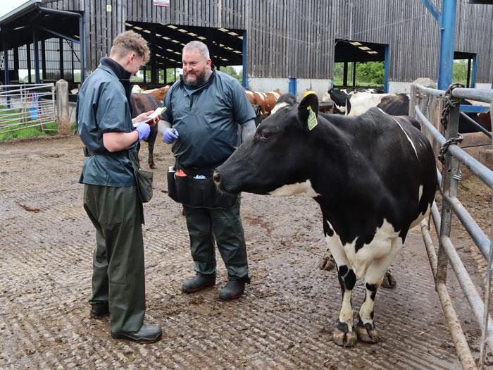 Strong communication is essential to building tightly knit farm teams.