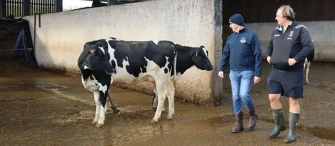 George (left) and Will Holmes look over some of the milking herd.