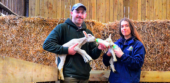 Earn the recognition your professional farming and growing skills deserve by becoming a member of TIAH.