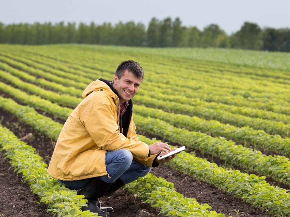 Horticulture manager in the field.